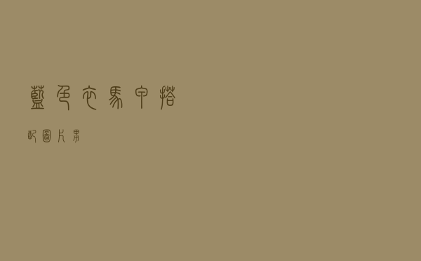 蓝色衣马甲搭配图片男