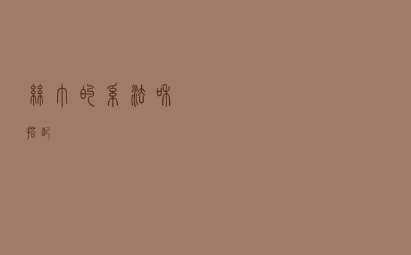 丝巾的系法和搭配