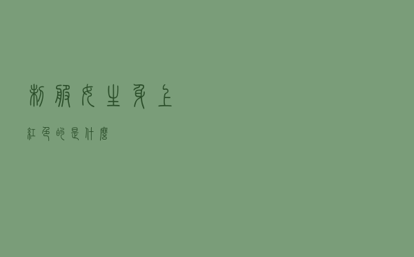 制服女生身上红色的是什么