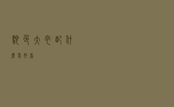 驼色大衣配什么裙好看