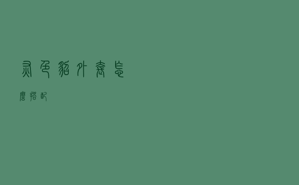 灰色貂外套怎么搭配