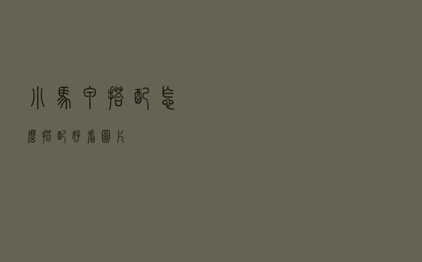 小马甲搭配怎么搭配好看图片