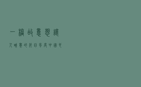 一档故意想让人睡觉的节目，《风度中国》也太反常规了吧