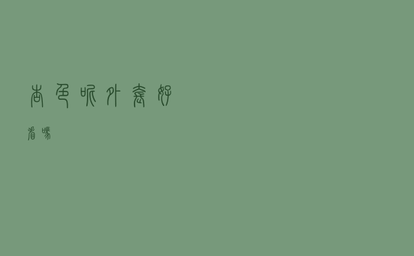 杏色呢外套好看吗