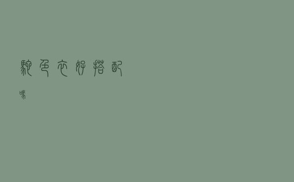 驼色衣好搭配吗