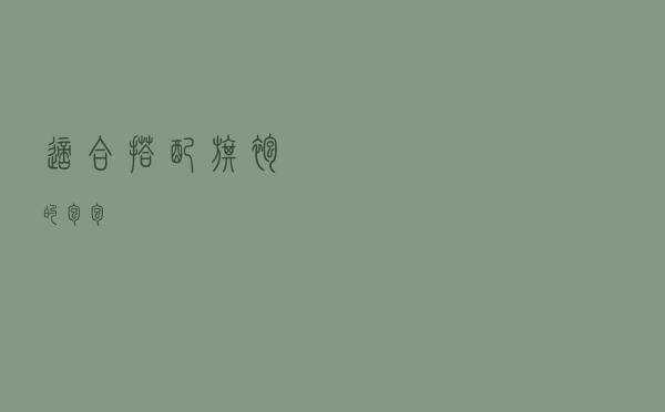 适合搭配旗袍的包包