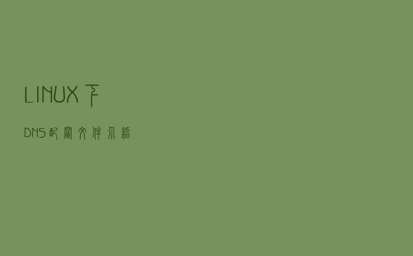 LINUX下DNS配置文件介绍