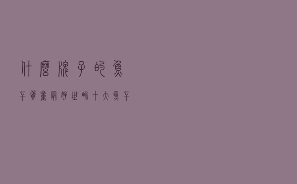 什么牌子的鱼竿质量最好（世界十大鱼竿品牌排行）