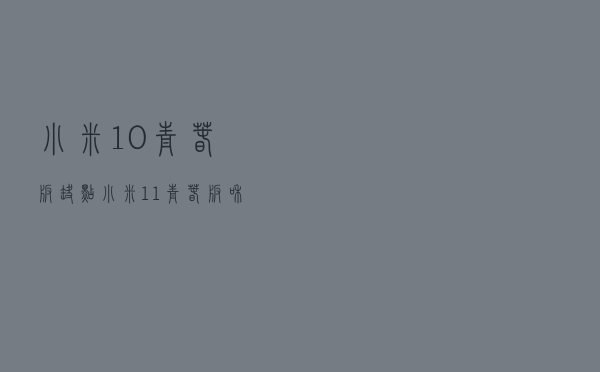小米10青春版缺点_小米11青春版和小米10青春版对比