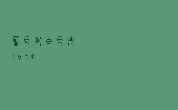 蓝色配白色卫衣好看吗