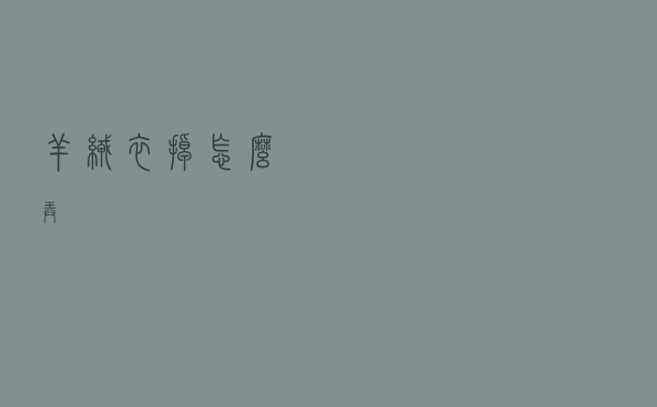 羊绒衣掉怎么弄