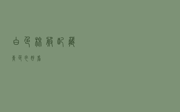 白色棉服配藏青色衣好看