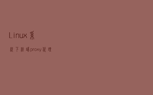 Linux系统下终端proxy代理配置