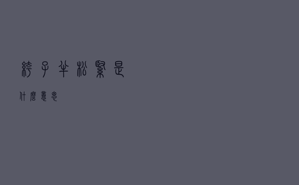 裤子半松紧是什么意思