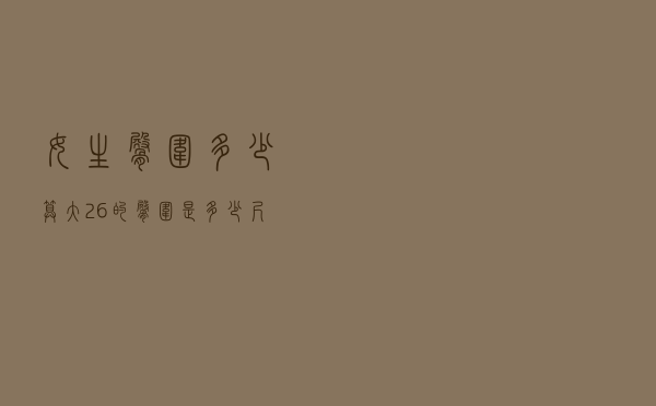 女生臀围多少算大（26的臀围是多少尺码）