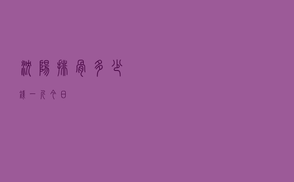 沈阳排骨多少钱一斤今日