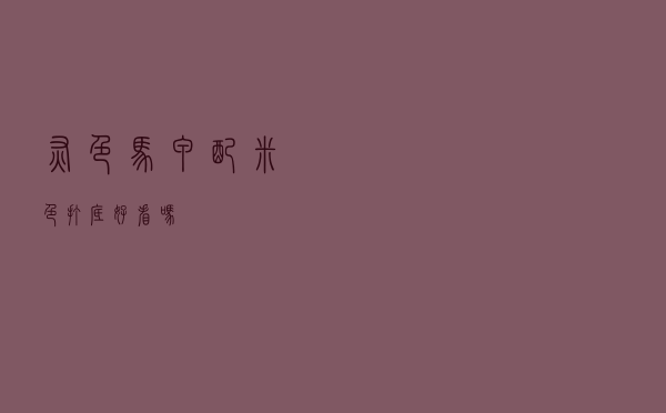 灰色马甲配米色打底好看吗