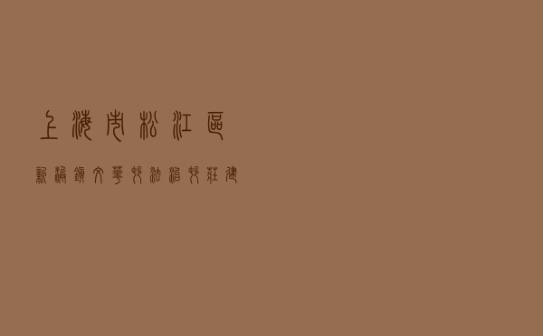上海市松江区新浜镇文华村法治村庄建设探索与实践