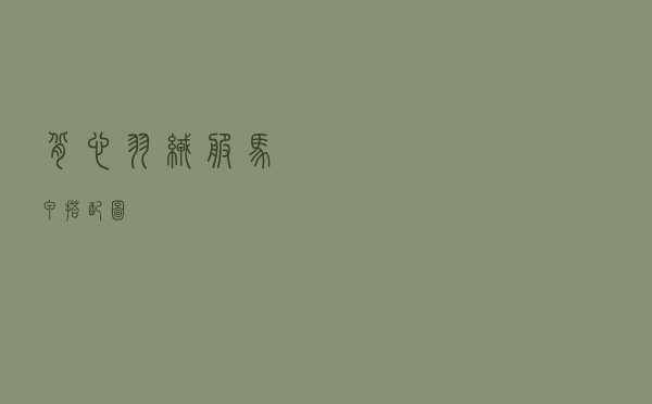 背心羽绒服马甲搭配图