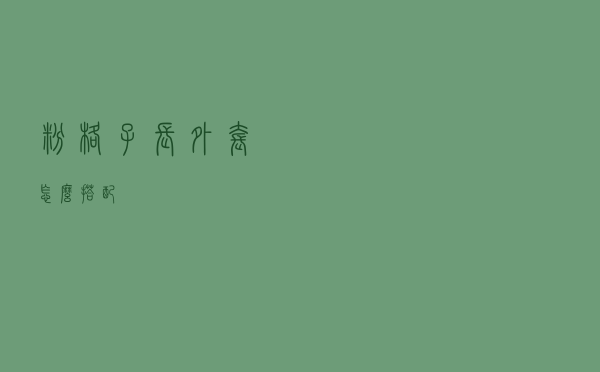 粉格子长外套怎么搭配