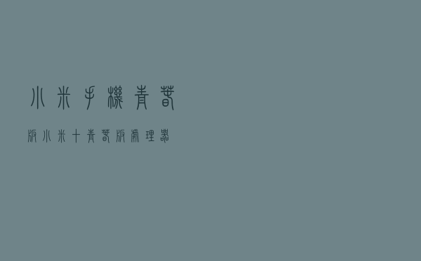 小米手机青春版_小米十青春版处理器