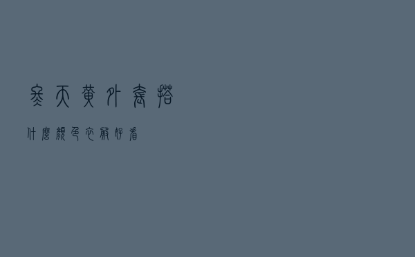 冬天黄外套搭什么颜色衣服好看