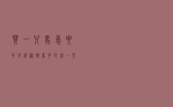 买一只马崽要多少钱 「宠物马多少钱一只」
