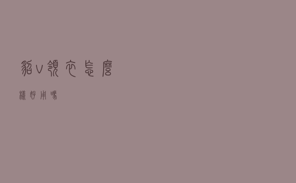 貂v领衣怎么样好用吗