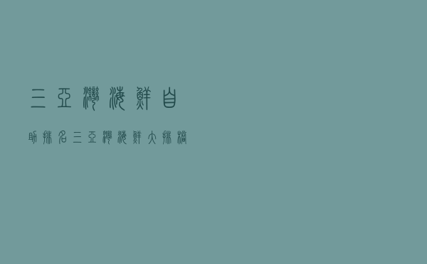 三亚湾海鲜自助排名（三亚湾海鲜大排档排名）