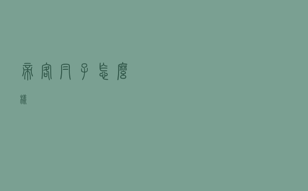 帝客帽子怎么样