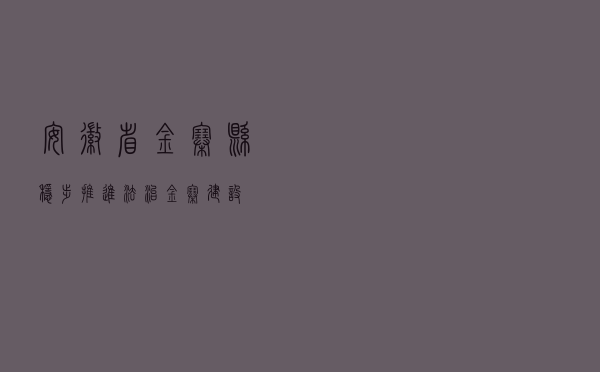 安徽省金寨县稳步推进法治金寨建设