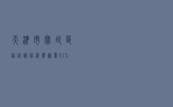 天津市宝坻区“网络诚信 消费无忧”3.15消费维权宣传活动