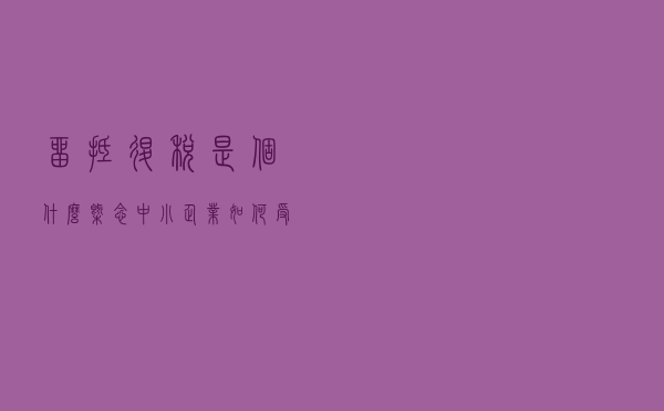 留抵退税是个什么概念？中小企业如何受益？