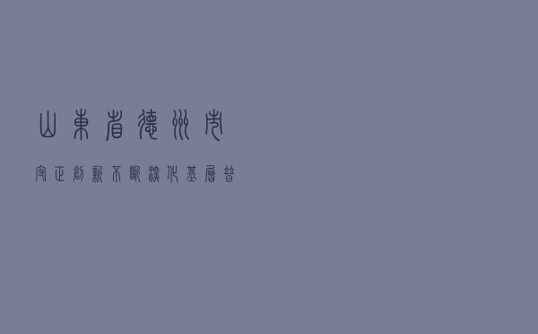 山东省德州市守正创新不断深化基层普法依法治理