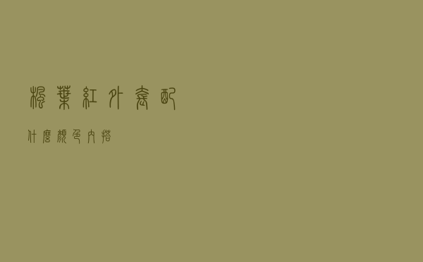 枫叶红外套配什么颜色内搭