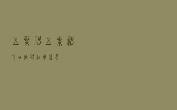 五叶神_五叶神的功效与作用禁忌