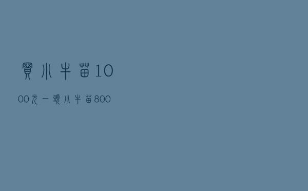 买小牛苗1000元一头，小牛苗800元左右