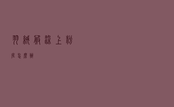 羽绒服染上粉底怎么办