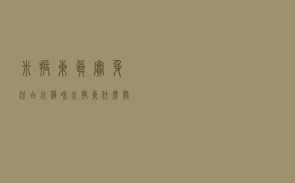 米振东真实身份，白小莲和米振东什么关系
