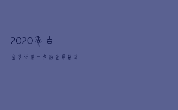 2020年白金多少钱一克（铂金换款式多少钱一克）