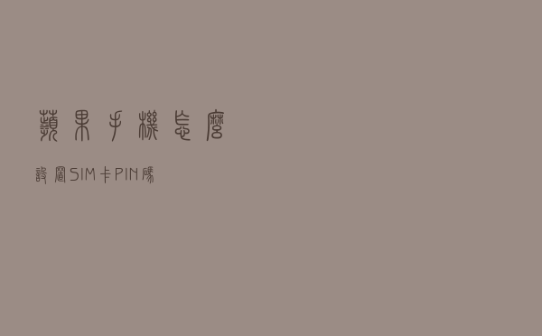 苹果手机怎么设置SIM卡PIN码
