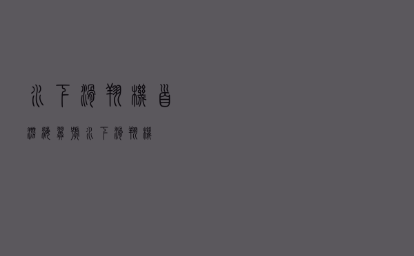 水下滑翔机 首潜「海翼号水下滑翔机」
