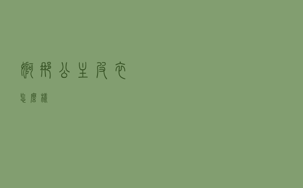 婀娜公主皮衣怎么样