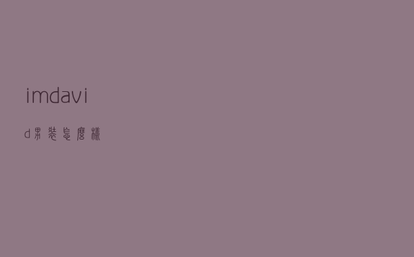 imdavid男装怎么样