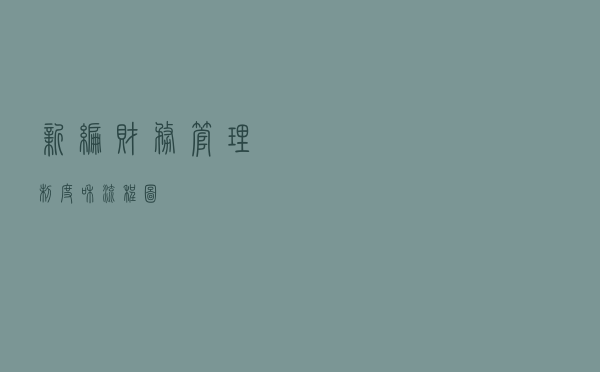 新编财务管理制度和流程图