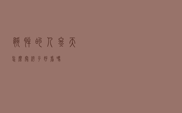 腿胖的人冬天怎么穿裤子好看吗