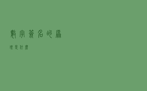 数字签名的原理是什么？