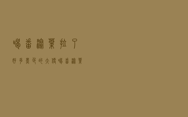 喝番泻叶拉了好多黑色的大便（喝番泻叶一个月能瘦几斤）