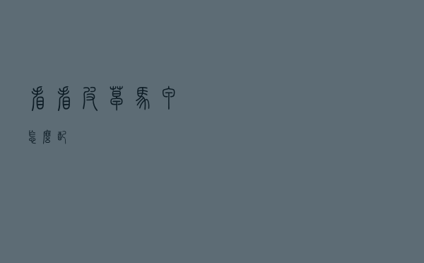 看看皮草马甲怎么配