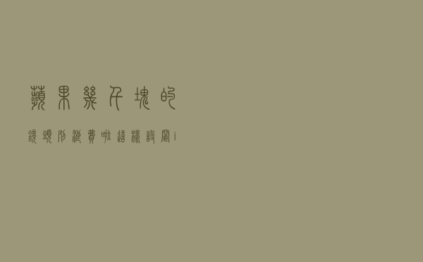苹果几千块的镜头别浪费啦！这样设置iPhone相机直接起飞